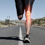 Bone & the Sport and Exercise Physician