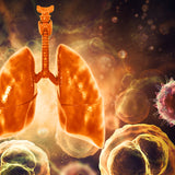 Respiratory Medicine