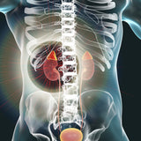 Diabetic Diseases: Endocrinology