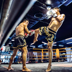 Combat Sports